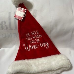 COPY - Santa Hat